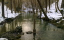 Fontibre