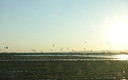 Atardecer en la Albufera