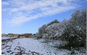 Nieve