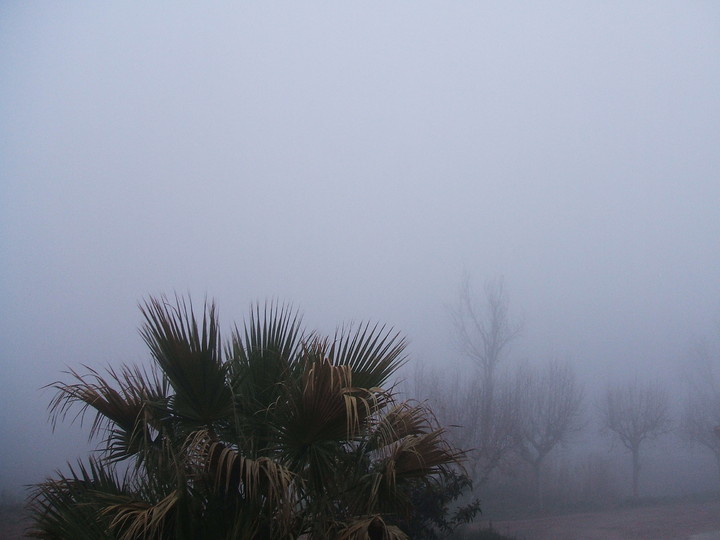 6245d6d6548e74576ead7ca29180b220_720x560.jpg