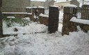 MUNCHA NIEVE
