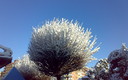 Nevada en Jaén