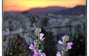 Atardecer de primavera...