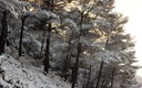 nevada en Alcoy