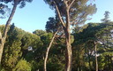 El Capricho