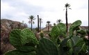 Naturaleza y el