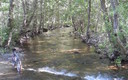 Por la Ribera del rio Sil