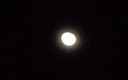 luna......