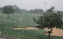 NIEVE EN GOLF SON GUAL