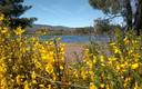 Pantano de Villameca