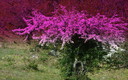 MONTES DE CANTABRIA