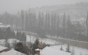 Soria y provincia