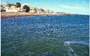 moncofa playa