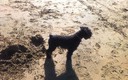 Rhisto en la playa de Ereaga