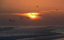 Atardecer