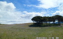 El cielo en primavera