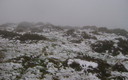 nieve en Cildá(1064m) (27 de enero de 2012)