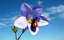 Un paseo por la primavera I