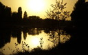 Atardecer