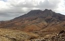 fuerteventura, cardon