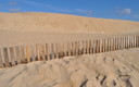 DUNAS EN TARIFA