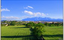 PRIMAVERA
