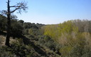 valle del adaja