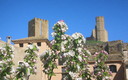 Primavera en Uncastillo
