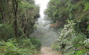 Camino al Roque.