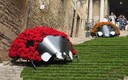 Exposición floral en Girona