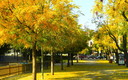 Otoño