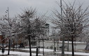 Nieve en el parque