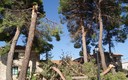 TORMENTA EN GASCUEÑA