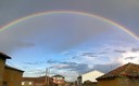 Junquera de tera (ZAMORA)