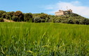 Monasterio del Pueyo - Somontano de Barbastro