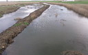 rio ciguela a su paso por herencia desbordao