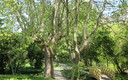 PASEO DEL ARGA -2