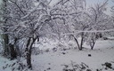 nevada en magaz de arriba.