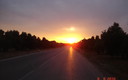 Atardecer sobre el olivar