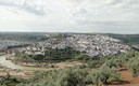 FOTOS DE LA RIADA DEL RÍO GUADALQUIVIR AÑO 2010