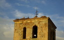 puesta de sol y por fin ya hay vida en la torre