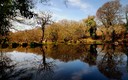 Reflejos