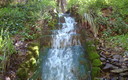 Naturaleza y flotes
