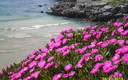 playa de los locos en suances