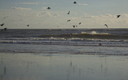 ......doñana............y el mar y la luz  3