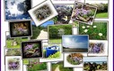 Naturaleza, Brusco y alrededores