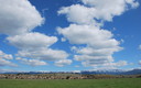Primavera en Requijada, Segovia