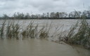 Villaverde del Rio(crecida del rio Guadalquivir)