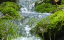 aralar
