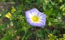 PRIMAVERA 2012